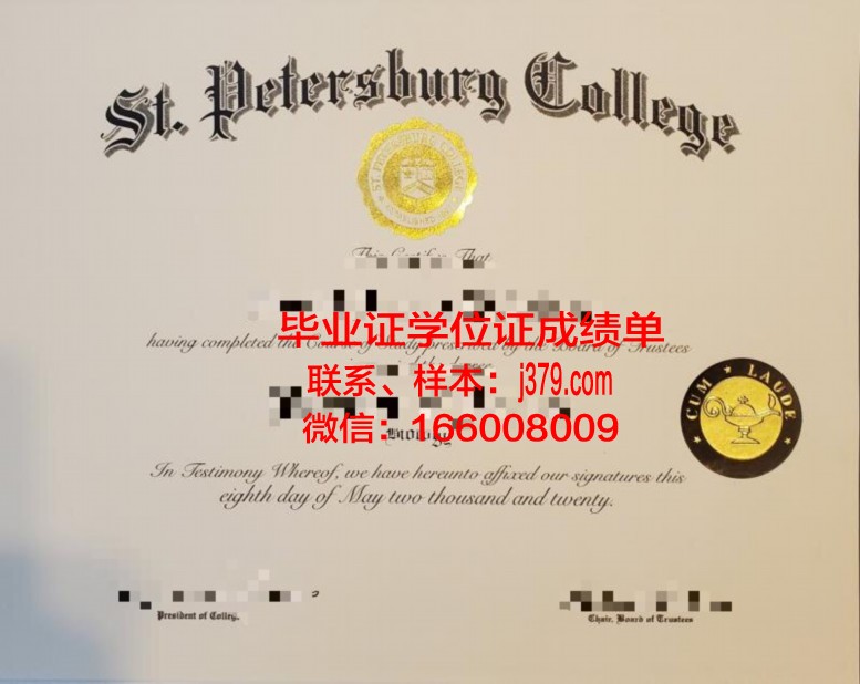 布加勒斯特理工大学本科证书