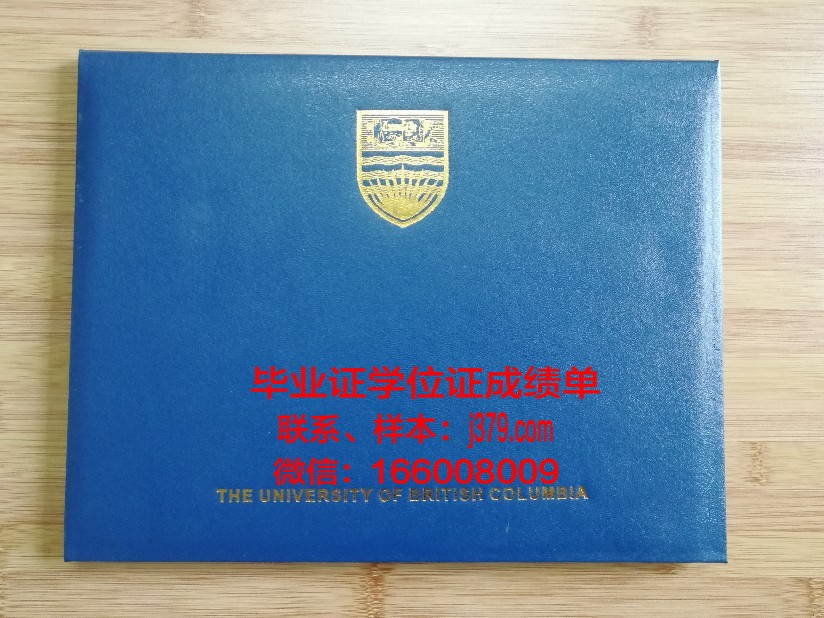 塞大毕业证壳子：学子们心中的荣誉与梦想载体