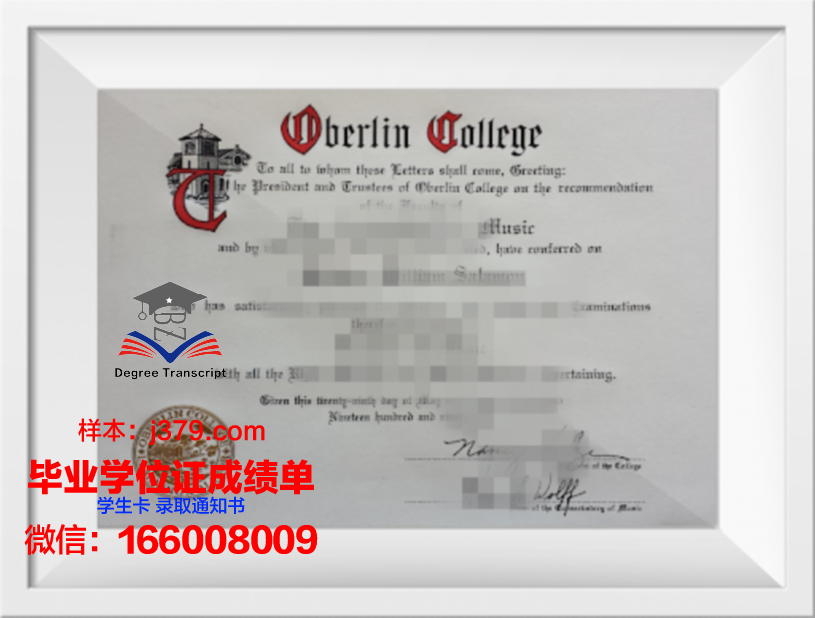 柏林自由大学毕业证图片Free University Berlin Diploma