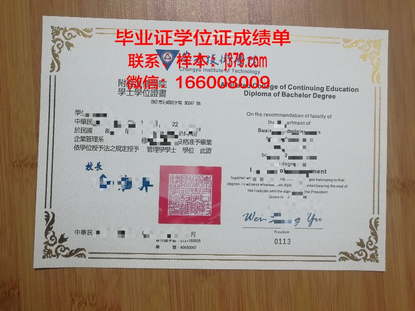 罗马RUFA美术学院毕业证书设计样式