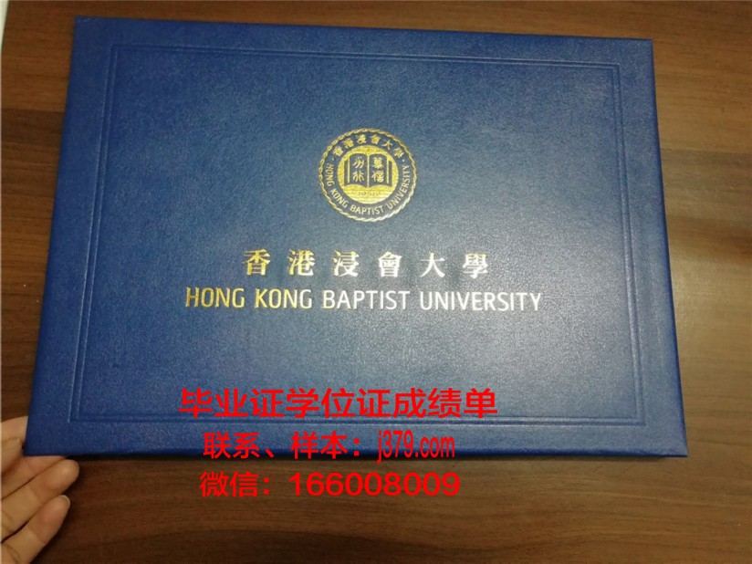 艾尤大毕业证壳子：时尚与经典的碰撞，诠释独特品味