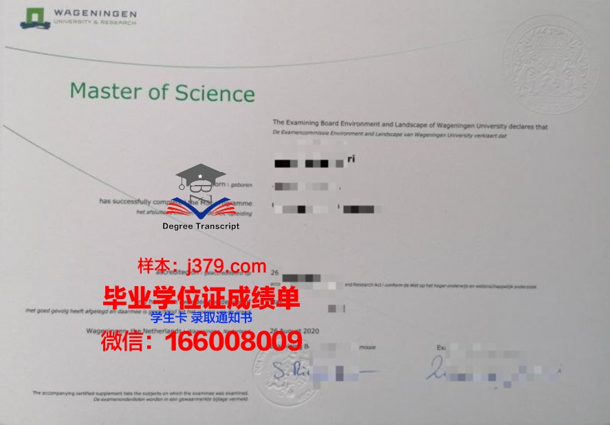佩德尼博士毕业证：历史与现实的碰撞