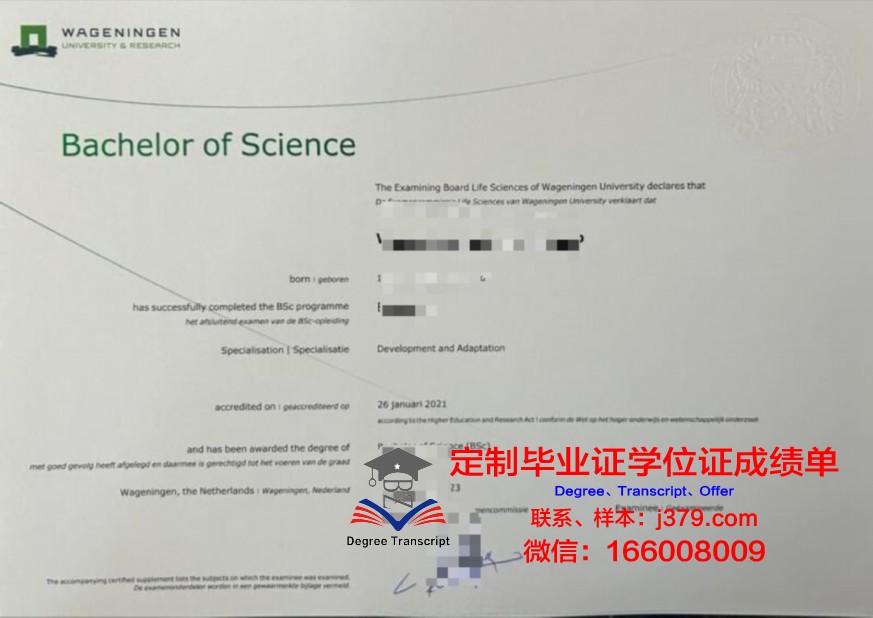 圣心本科毕业证书颁发