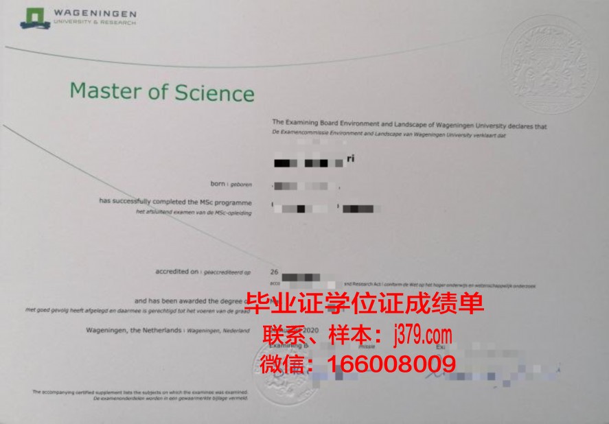历年巴查大毕业证图片回顾