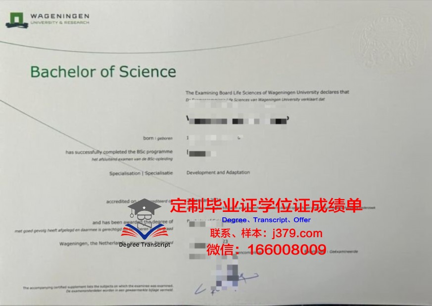 波斯本科证书:在线学习资源与考试攻略