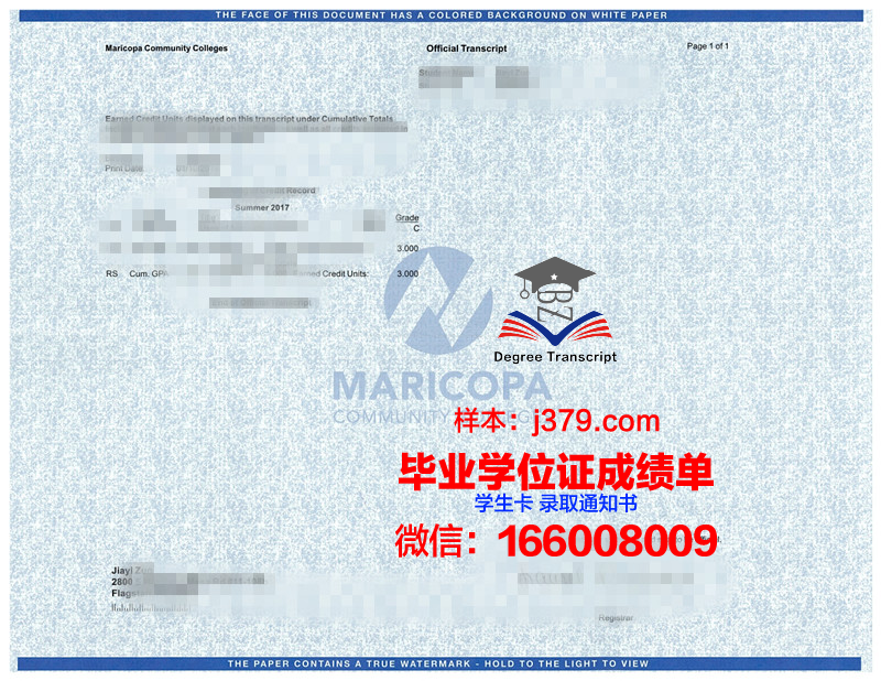 马里博尔大学硕士证书课程