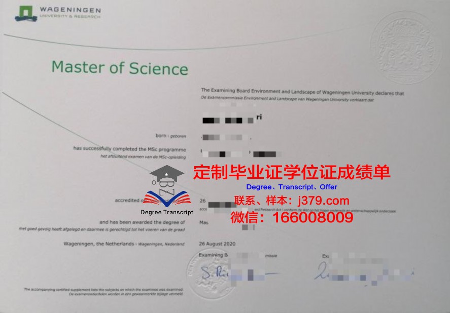 AUL硕士证书:如何提升个人综合素质