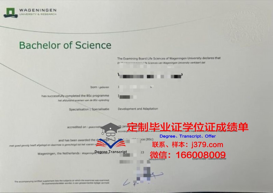 阿德雷德大学本科阶段毕业证书