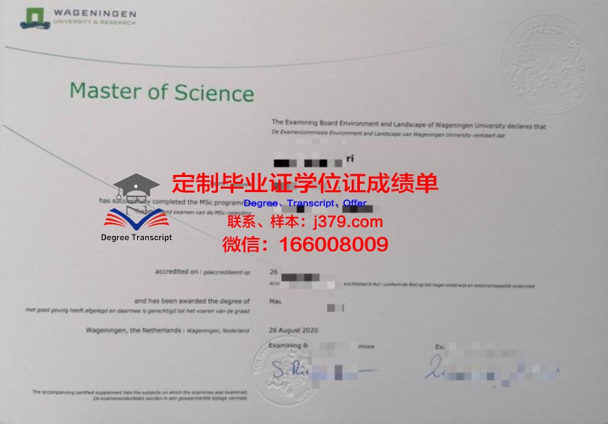 瑟大毕业证学历:职场竞争力分析