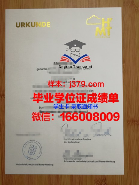 汉堡研究生学位资格证书