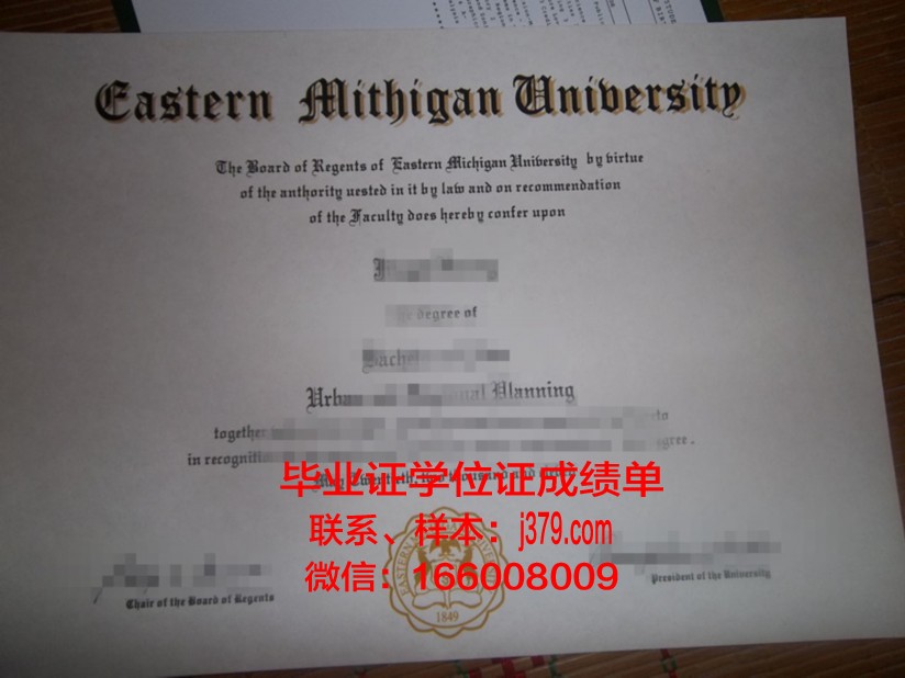 密歇根大学迪尔伯恩研究生专业证书
