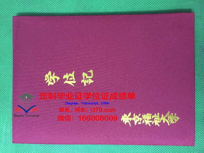 东京理大成绩单深度解析:优秀学生的养成记