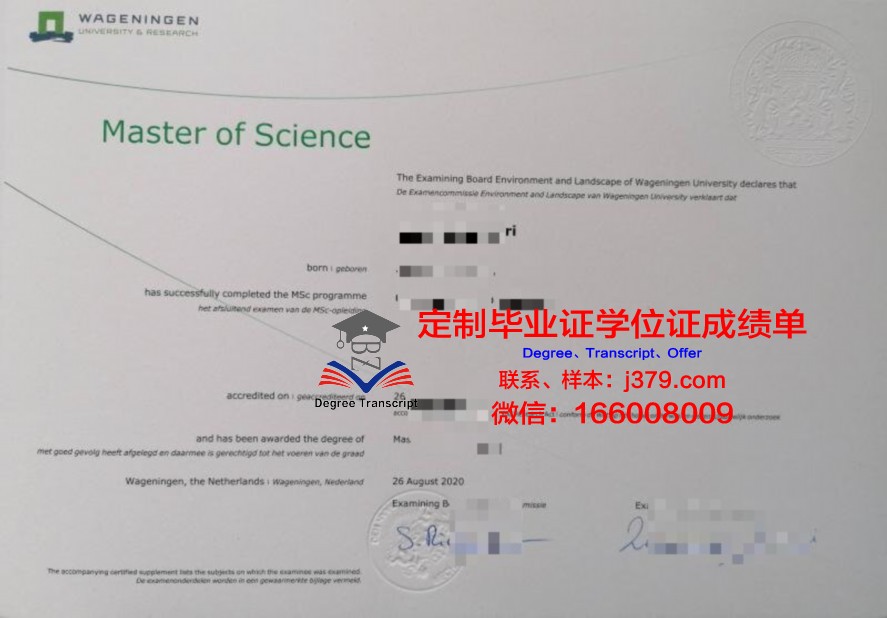 南方大学毕业证上的专业及课程设置解析
