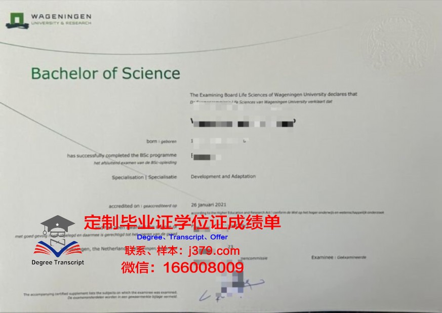 MadTech本科阶段毕业资格证书
