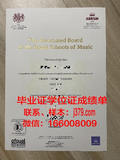 莫大学Diploma证书:专业设置与课程安排一览