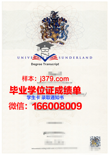 恩图曼伊斯兰大学学历证书
