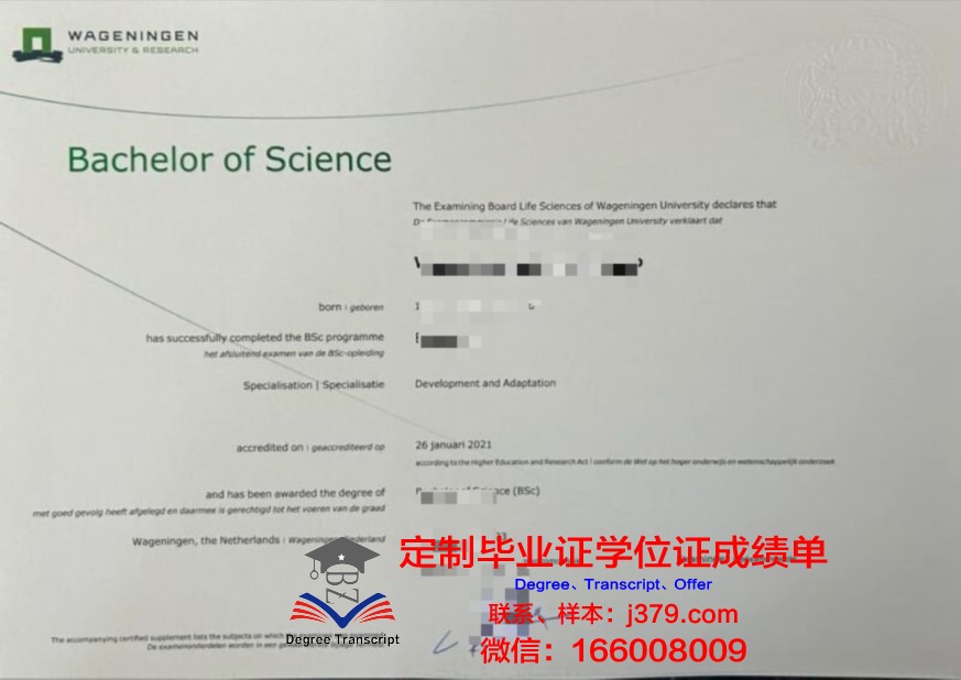 哈萨克国大本科证书:人才培养与国家发展战略