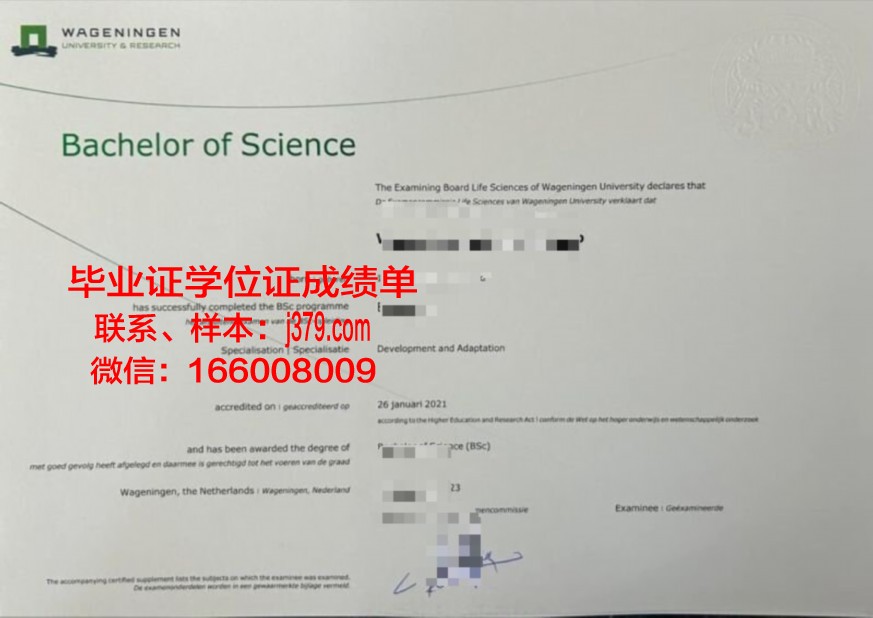 萨克雷师范本科证书价值与意义解析