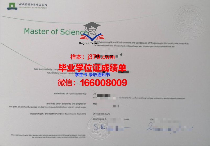 KPI毕业证样式优化:提升企业品牌形象