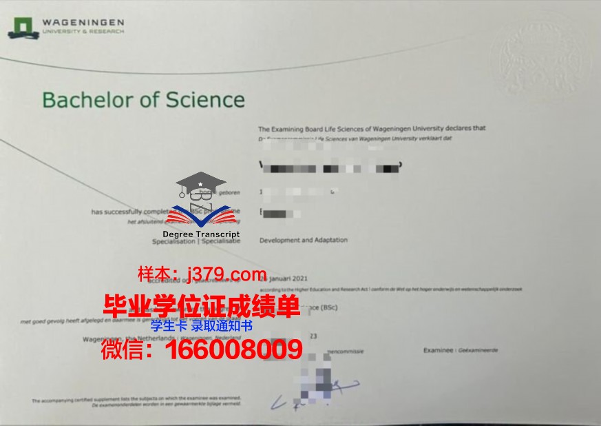 从零开始,如何成功考取ICTU本科证书