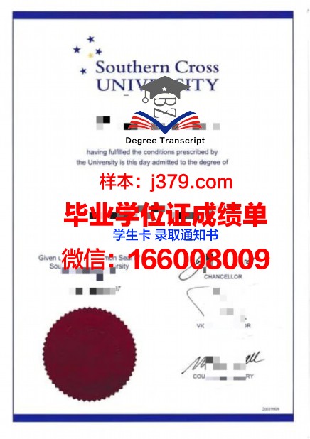 十字大本科证书:专业选择与就业方向