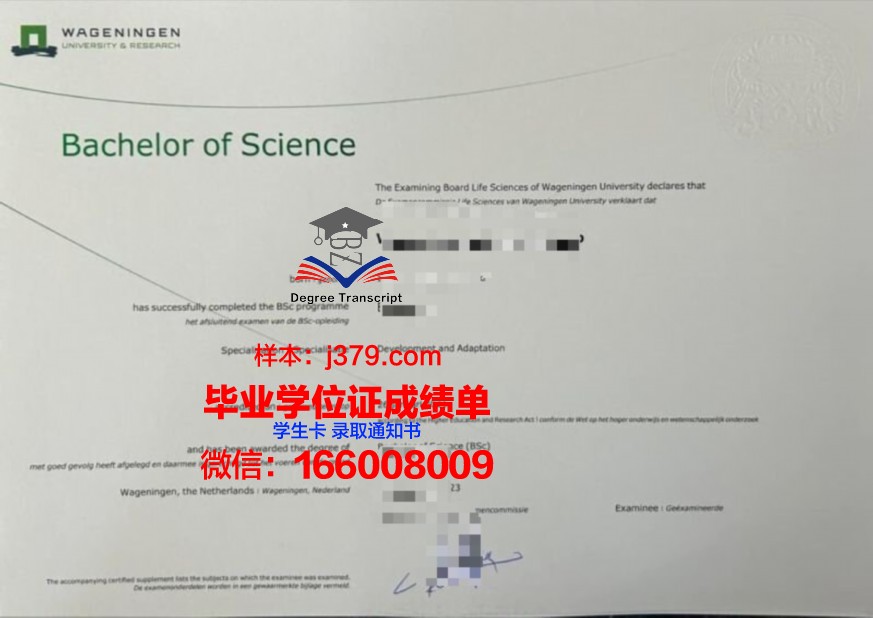 UFBNB本科阶段毕业资格证书