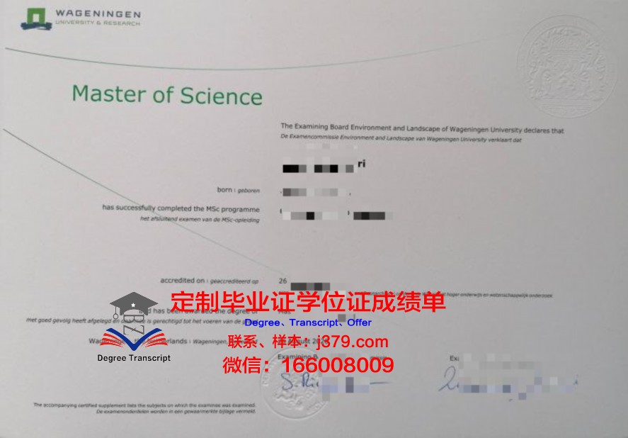 十星硕士证书:助力求职者脱颖而出
