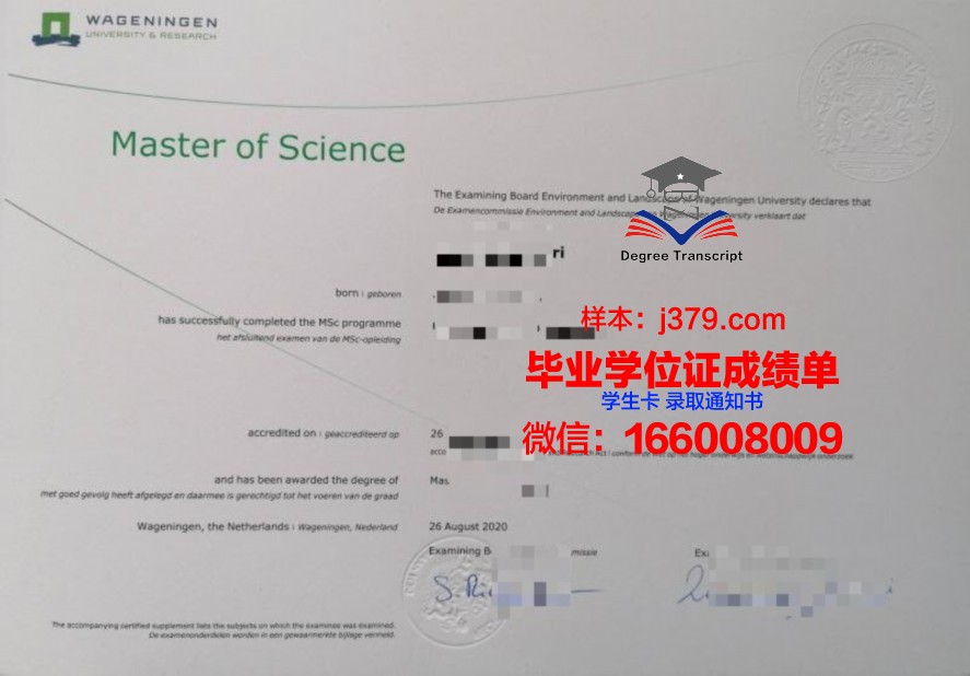 宗大本科毕业证:毕业生的综合素质评价与提升建议