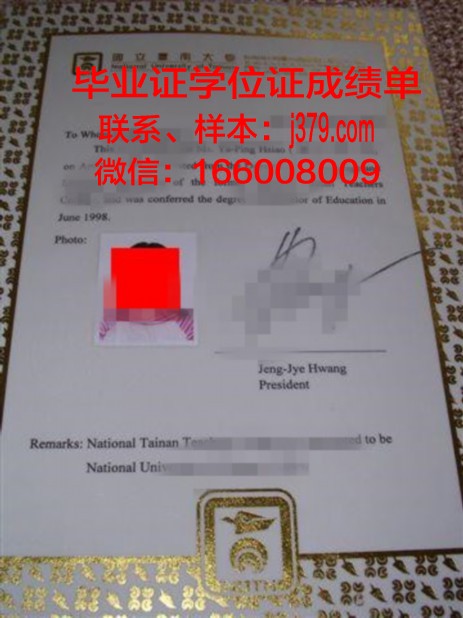 Madras Tech本科证书含金量解析:就业前景分析