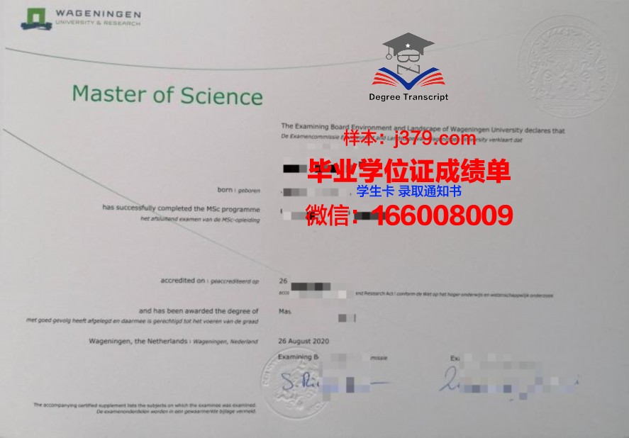 自大毕业证:学历膨胀的社会现象解析