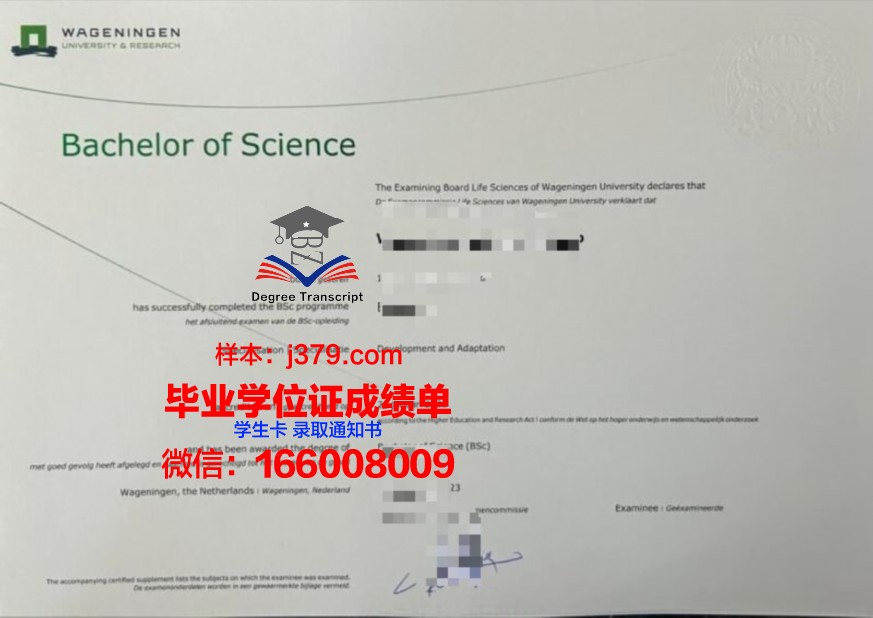 西布列塔尼大学本科阶段毕业证书