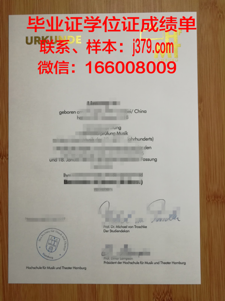 汉堡研究生学位资格证书