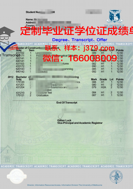 如何从UI成绩单中发现改进空间
