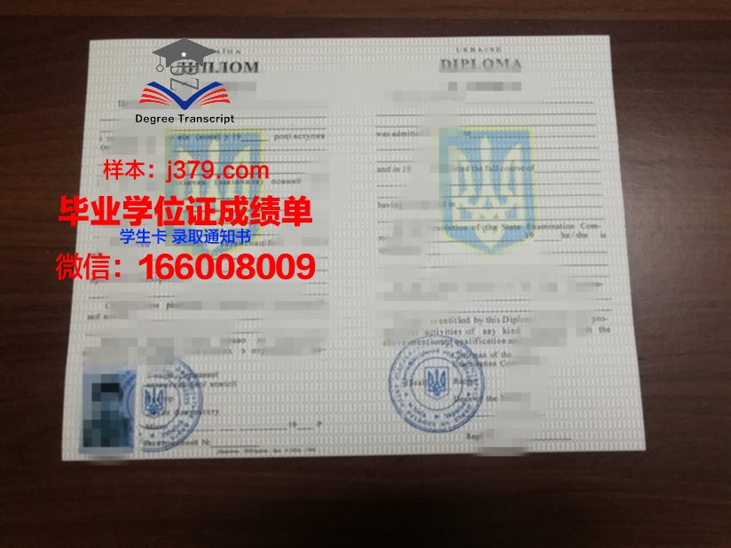 基辅国立大学文凭证书
