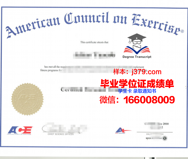 斯特拉大成绩单:推动教育改革的重要参考