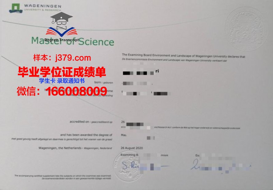 露大毕业证文凭:学历提升的正确途径