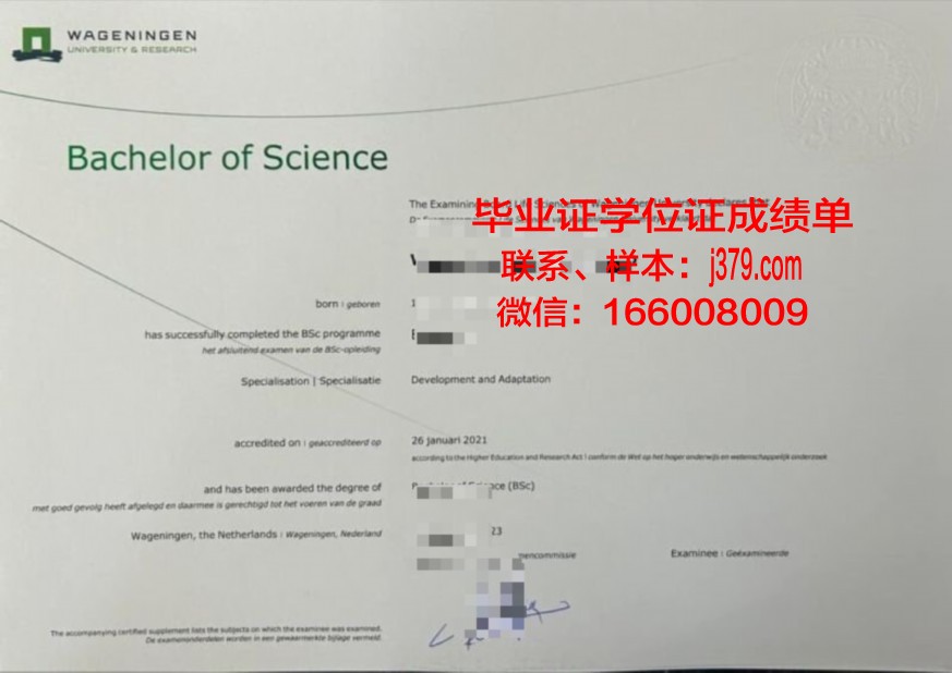 南加大本科证书课程