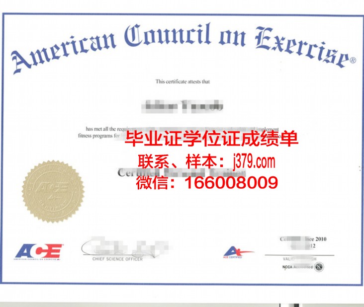 特拉大硕士证书:国内外合作项目与交流机会