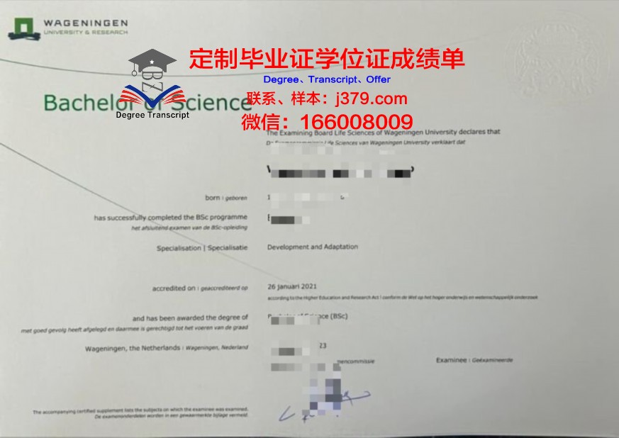 PJU本科证书所涵盖的专业领域及发展方向