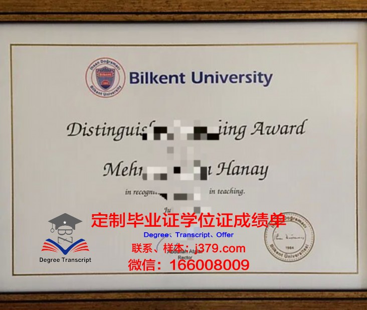 全面解读:里坎特成绩单中的亮点与不足
