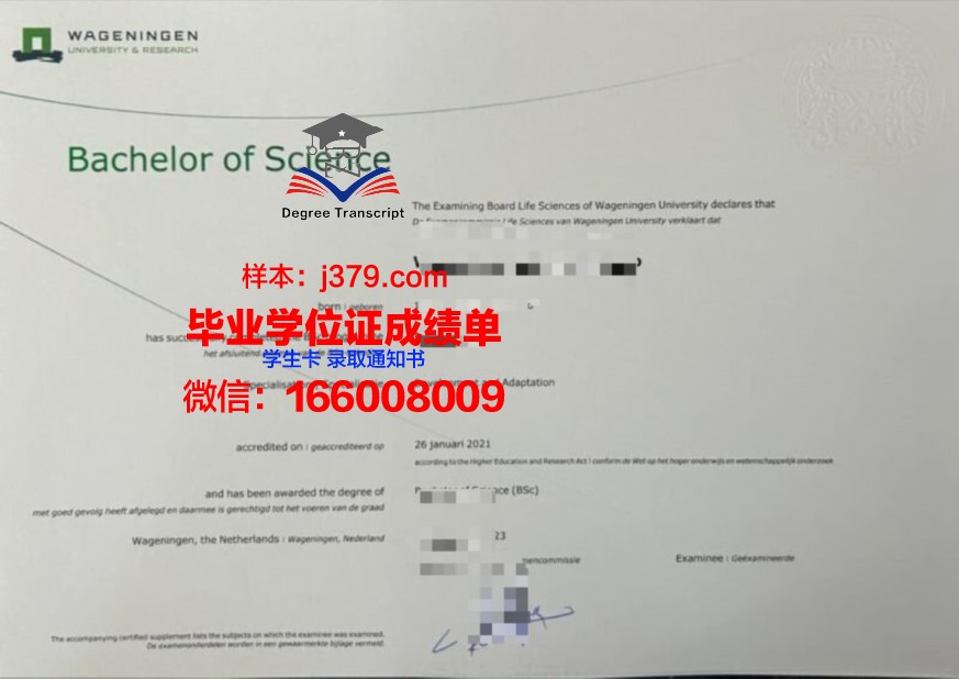 特拉本科毕业资格证书