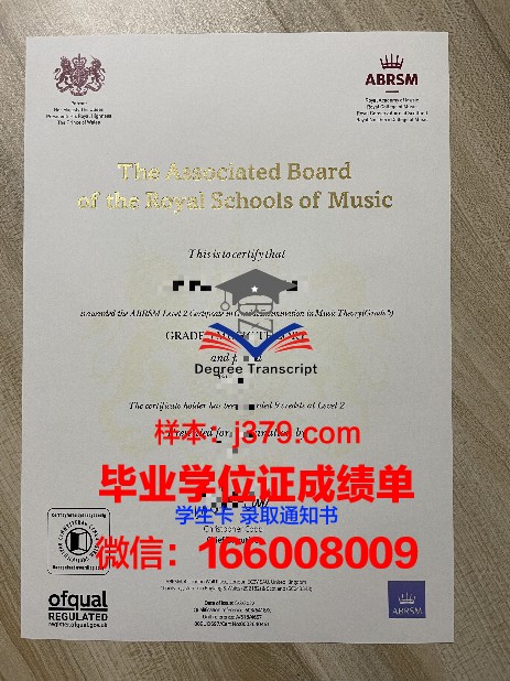 DSTI学术资格证书