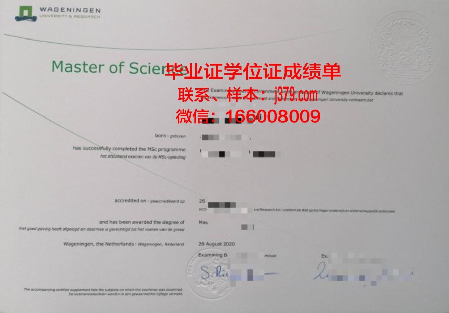 塔理工本科毕业证:专业选择与课程设置解读