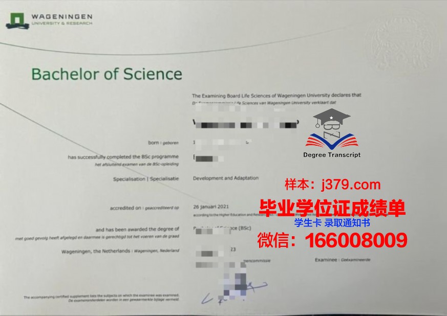 乌苏本科证书:大学生求职必备资质