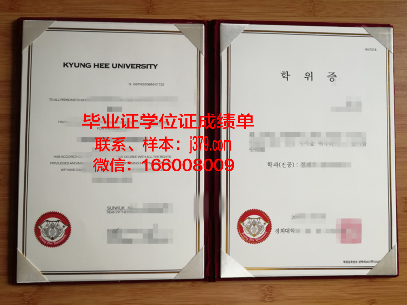 卡托维兹毕业——西里西亚医科大学学历证明