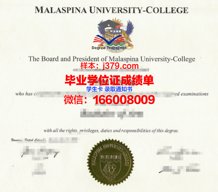 拉斯维亚斯中心高校学业成绩单