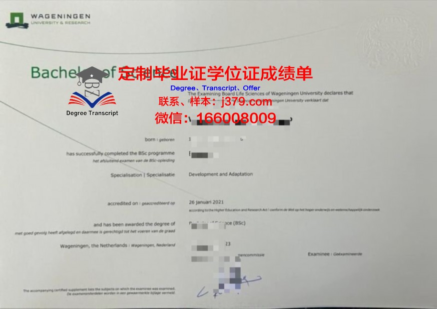 南普大本科证书含金量解析