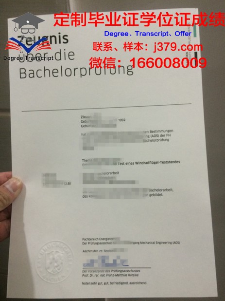 亚琛工学院本科证书项目特色解读