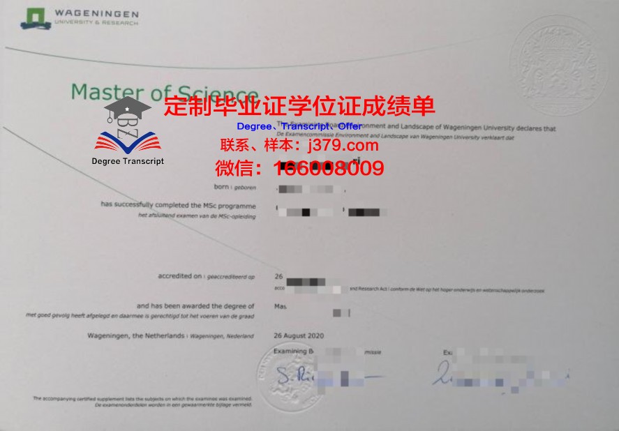 三大毕业证学历:揭秘其含金量与就业前景