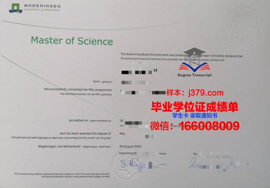 曼省大学硕士毕业证书获取指南